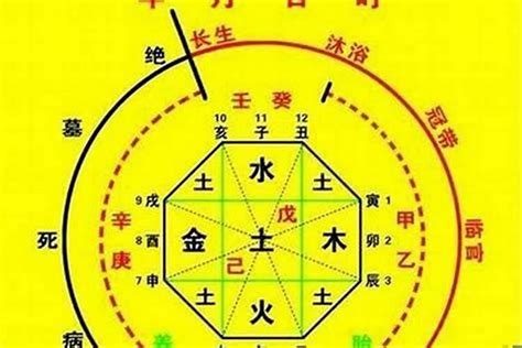 喜用神木|什么是八字喜用神，八字喜用神为木改运方法——天玄网